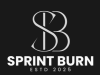 cropped cropped sprint burn logo.png